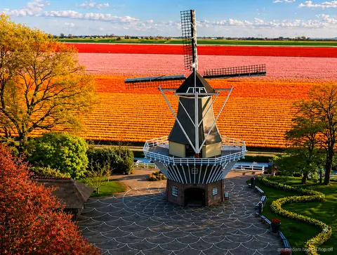 Molenvaart door de Nederlandse polders onderweg naar Keukenhof