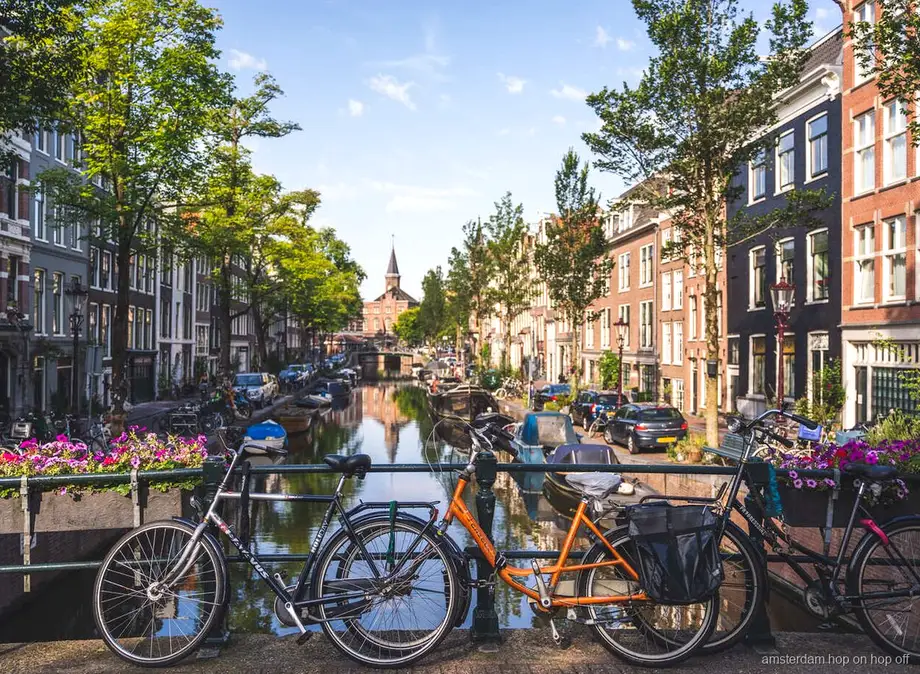Guía liderando un tour a pie por Amsterdam junto a casas de canal